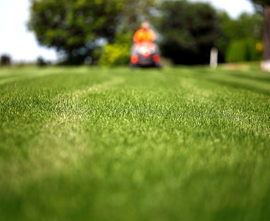 Lawnmowing barrington