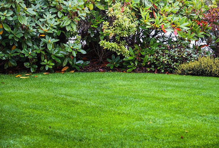 Quality lawncare services