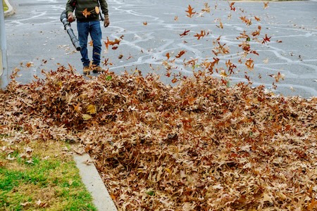 How Heavy Leaf Buildup Ruins Your Barrington Lawn: The Link Between Leaf Removal and Spring Grass Health