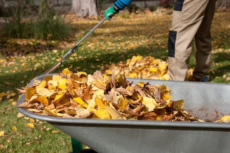 Lawn Cleanup: The Service That Revives Your Yard Each Season Thumbnail