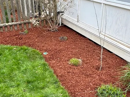 Why Professional Mulching is Key to Saving Water in Riverside RI Gardens Thumbnail