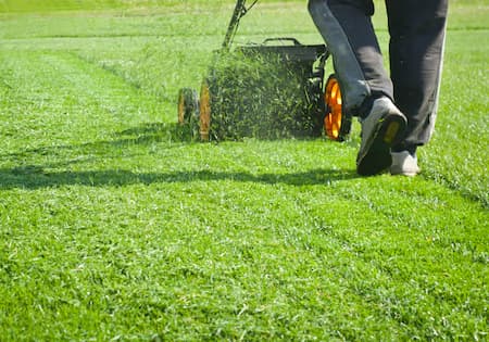 The Key to a Healthier Yard: Why Routine Lawn Mowing Matters Thumbnail