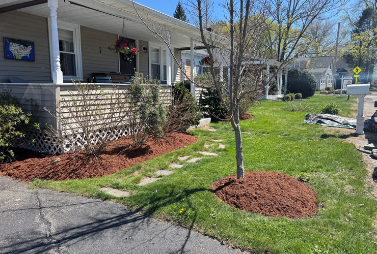 Lawn Cleanup Thumbnail
