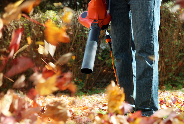 Leaf Removal Thumbnail